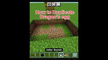 New Glitch: Duplicate Dragon