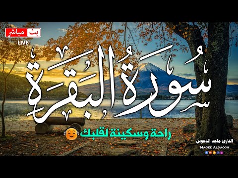 قرآن الصباح قرآن كريم بصوت جميل جدا جدا يريح القلب القارئ ماجد الدعوس