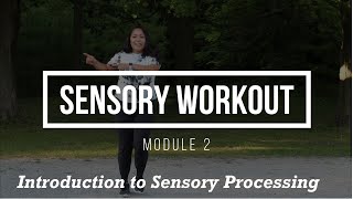 Module 2 Sensory Workouts – Introduction to Sensory Processing Wealth