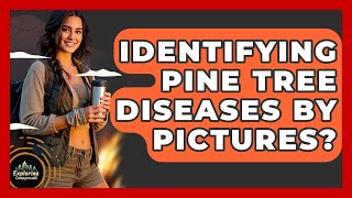 Identifying Pine Tree Diseases By Pictures? - Exploring Campgrounds