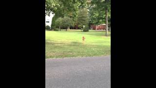 IMG 19991]