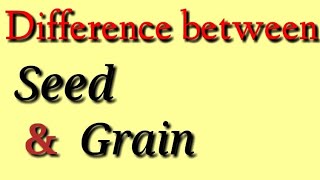 Famous Difference between Seed and Grain Net Worth
