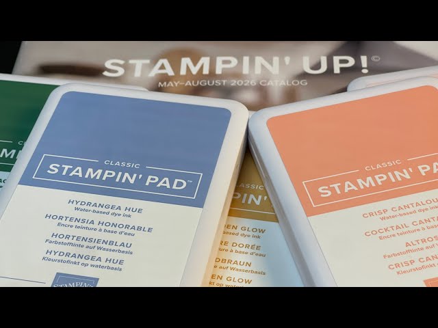新作未使用♡STAMPIN' CUT & EMBOSS & ON DISPLAY Sneak Peek - New Stampin' Up! Catalog is coming! 👀 - YouTube