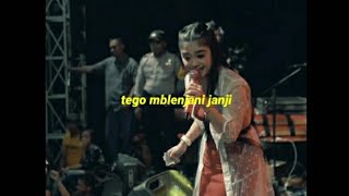 Story Wa Dangdut Koplo Keren Terbaru 30 Detik - Cidro Vivi Artika