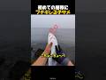 子ザメが復讐を誓った理由のサムネイル