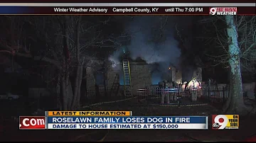 House fire kills dog, causes heavy damage in Roselawn