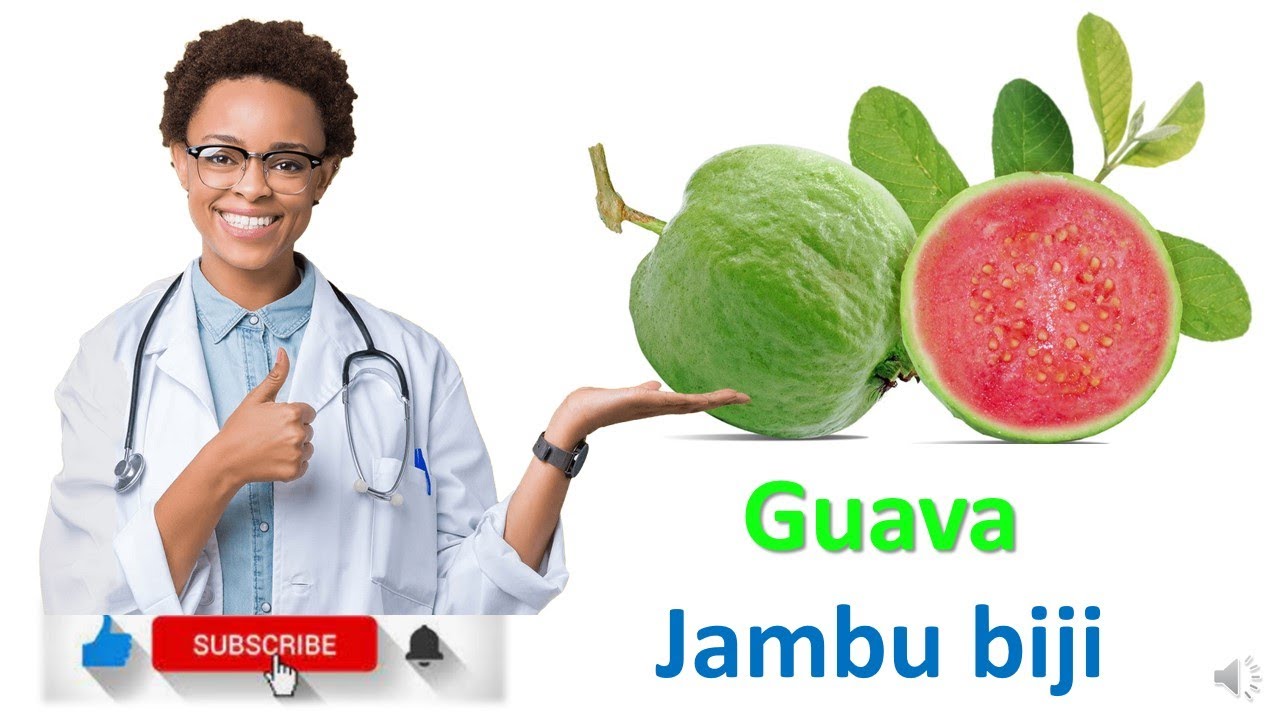 Guava Jambu Biji Health Benefits YouTube