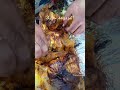 المردومة ج3 #tiktok #nature #adventure #food #natural #travel #foodie #restaurant #exploring