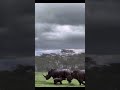 #Rain