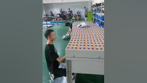 swivel wheel sorter, rotary wheel sorter, DWS sorting line, warehouse sorting,logistic sorting