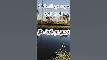 صوت من السماء 44 # تلاوة نادرة #قرآن #قران_كريم #قران #قرآن_كريم #اكسبلور #الشيخ مبارك  #الشيخ