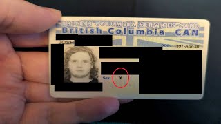 Bowblax vs Matt Pitt TWITTER WAR EXPOSED