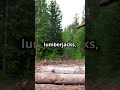The Time America Accidentally Invaded Canada (1839) Part 1#AroostookWar #History #LumberjackStandoff
