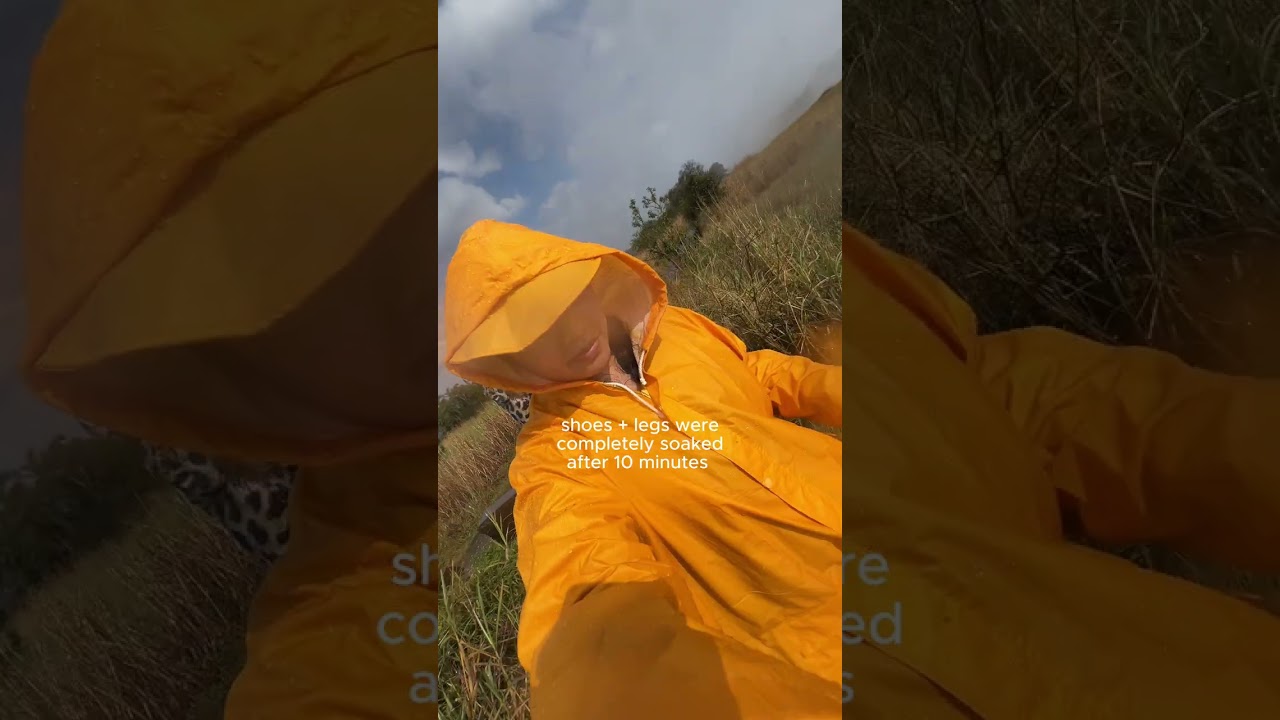 visited Victoria falls in Zimbabwe and it was breathtaking!!!!