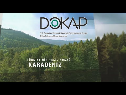 Video: DAP'ın amacı nedir?