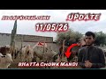 today Bhatta Chowk mandi | latest update|Fatehjhanghibul | Qurbani for Bakra Eid