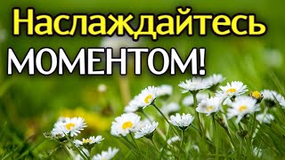 КРАСИВЫЙ СТИХ О Жизни! Послушайте! &quot;Наслеждайтесь Моментом&quot; Чтец Анна Холод