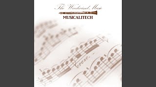 SONG 2 - MUSICALITECH