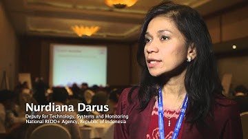 From concept to reality: UN-REDD Programme’s REDD+ Academy explained in new video