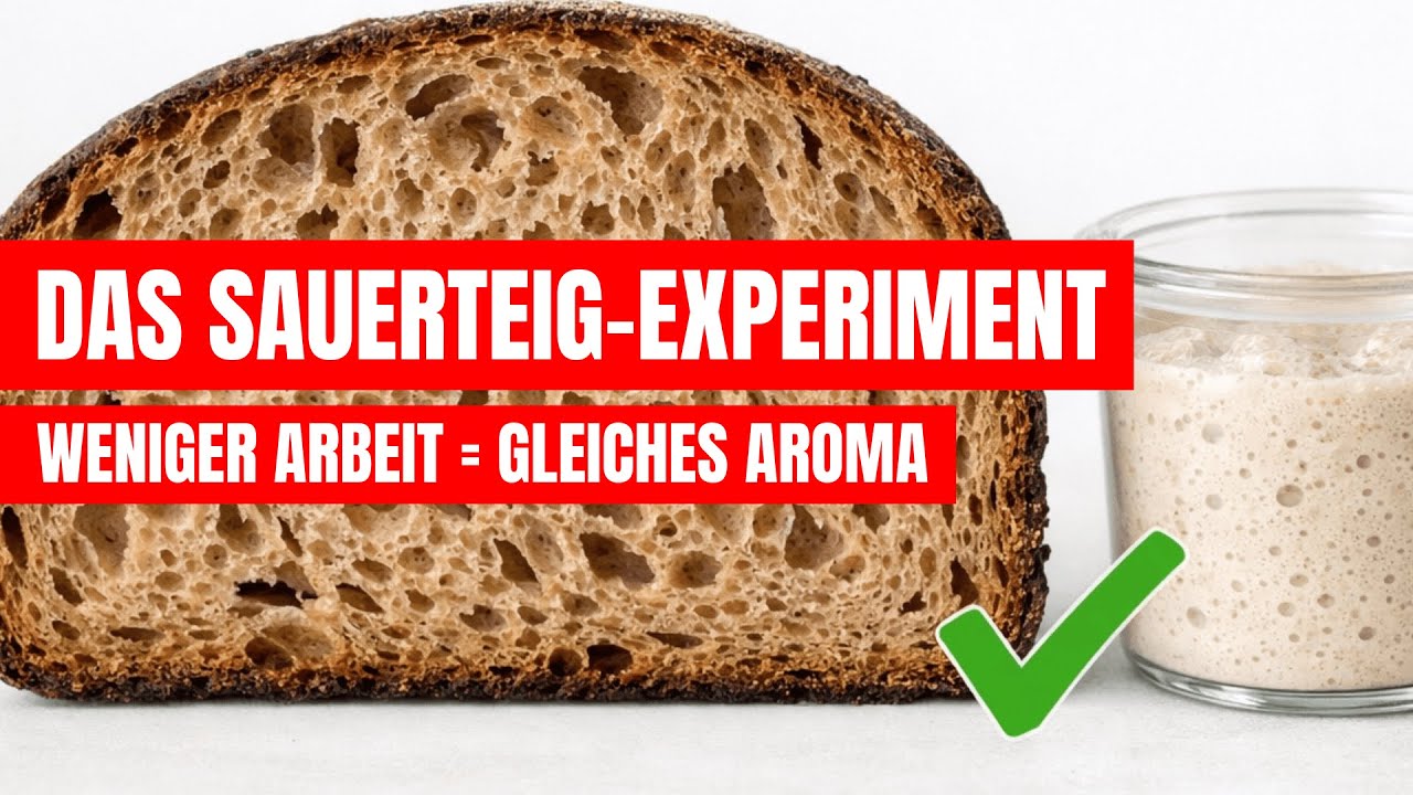 Welchen Sauerteig setze ich an: Einstufenführung oder Dreistufenführung von Sauerteig (Test)