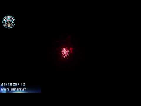 4″ video preview