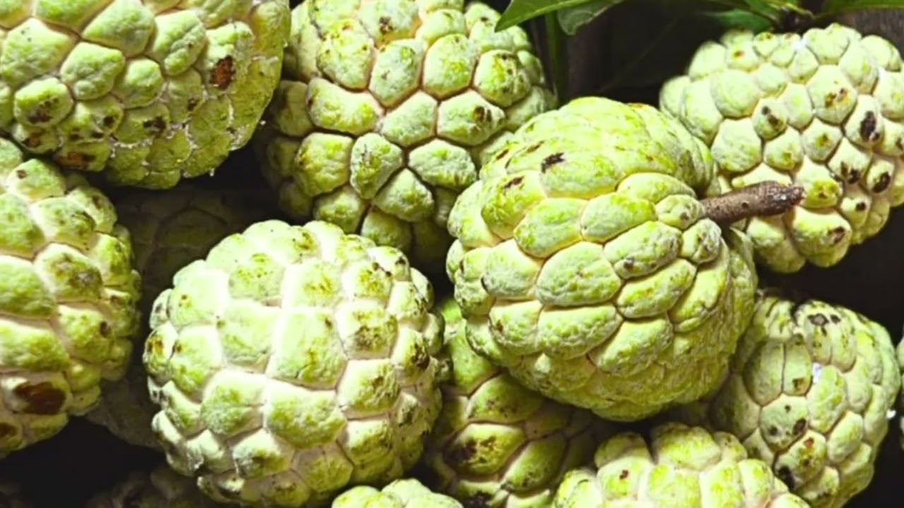 सीताफल खाने के 7 जबरदस्त फायदे | sitafal ke fayde | custard apple benefits