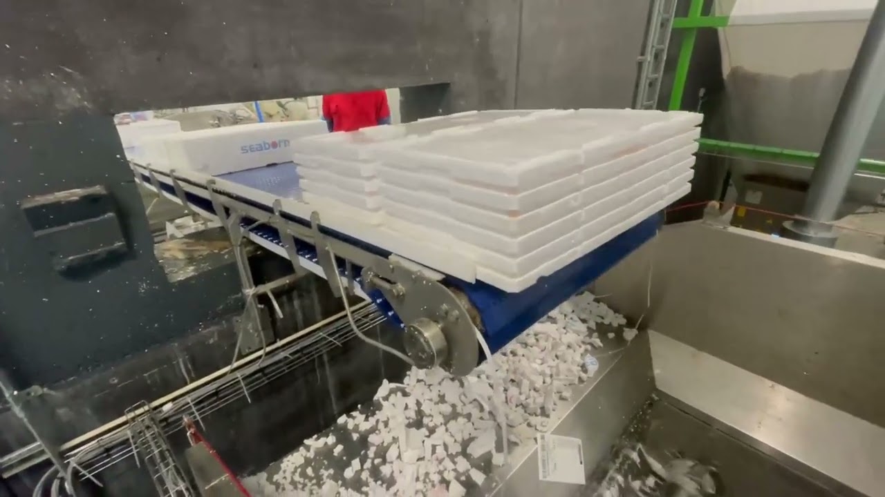 EPS / AIRPOP Compactor Mammut 2x250kg/hour