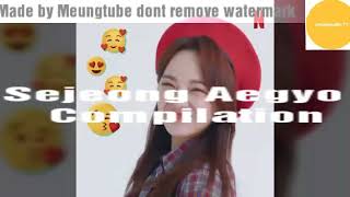 Sejeong Aegyo Compilation