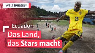 Ecuadors Fußball-Wunder: Talente zwischen Drogenkrieg und Champions League