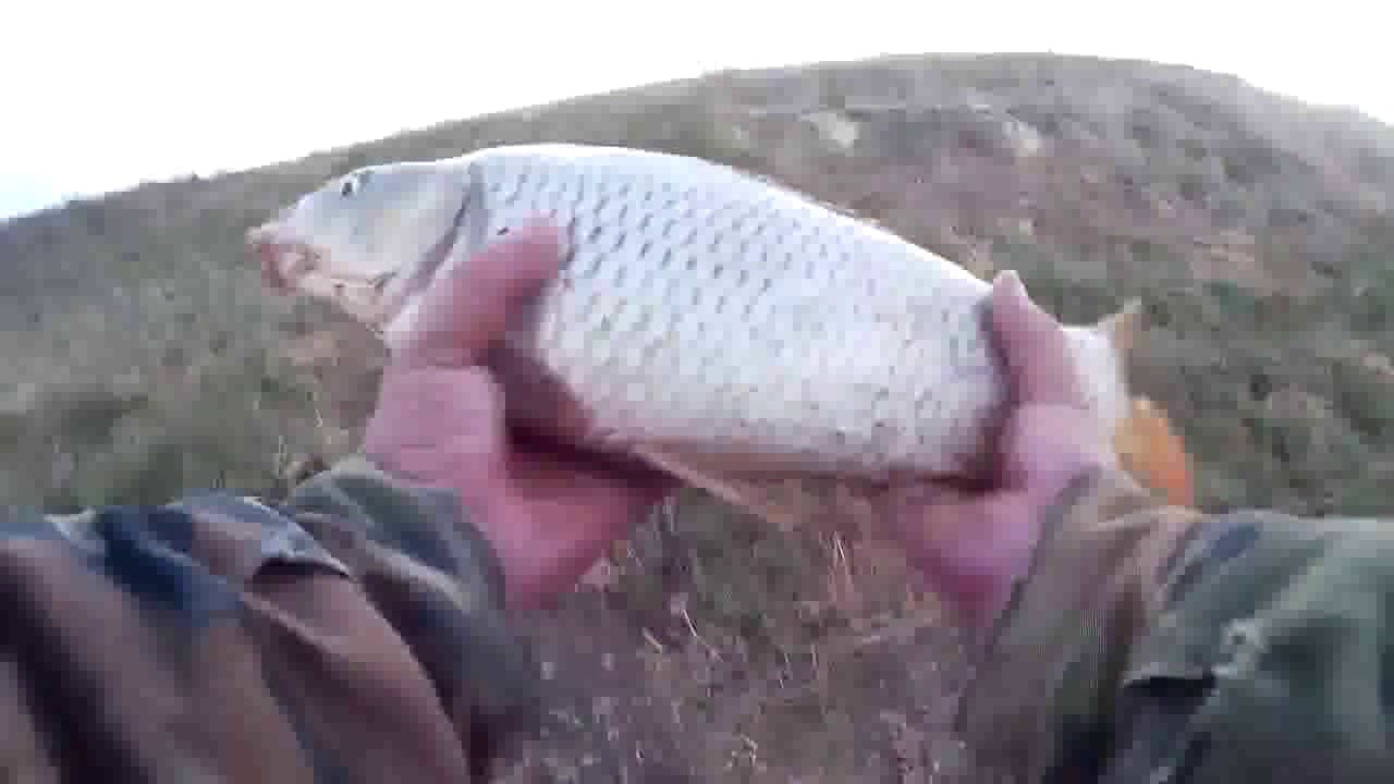 Рыбалка в крае видео. Рыбалка в Ставропольском крае. Дивное рыбалка Ставропольский край. Пикет рыбалка Ставропольский край. Пеньки балки рыбалка Ставрополь.