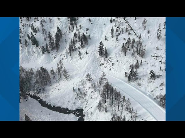 Massive 40-foot avalanche blocks Highway 21, cleanup underway