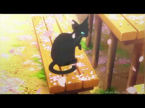 (MAD)四月は君の嘘×花降らし　【スマホ編集】