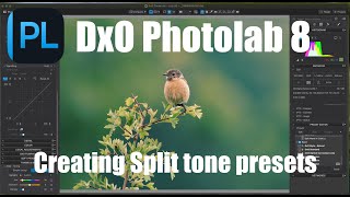 Celebrity Creating Split Tone presets in DxO Photolab Profile