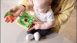 WDMIYA Wooden Montessori Carrot Harvest Game Review |  Developmental Shape Sorting  Matching Puzzles