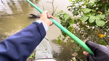 Dật cá đã tay luôn #mekakau #fishing #cuoccauca #câucá #caucathugian