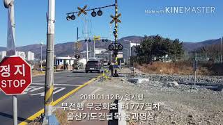 동해선 부전행 무궁화호 #1777열차 울산가도건널목 통과영상(2018.01.12)