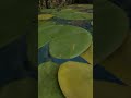 Green Hell: Heatwave Survival ☀️🥵 + Quick Dive to Cool Down 🌊