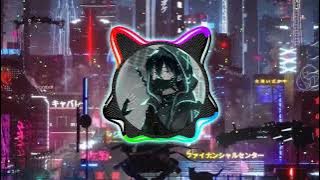 DJ Somebody That I Used To Know Slow Kane Reverb Viral Tik Tok 2022