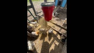 Automatic chicken feeder from Amazon .and a free 5gallon bucket from harbor freight .