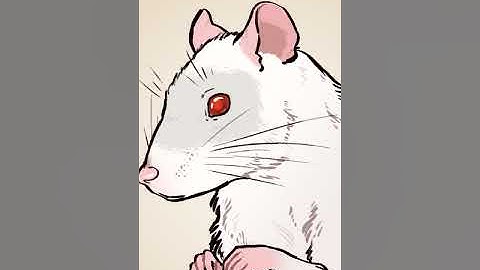 !Discord !clip | interactable Noita Stream