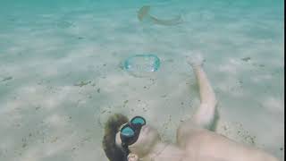 Jellyfish Spins Inside Water Bubble Ring Made By Man - 1079370 screenshot 5