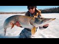 Huge Pike in Super Shallow Water (Underwater Strikes)