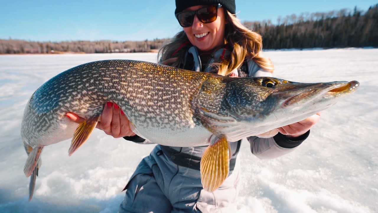 Huge Pike in Super Shallow Water (Underwater Strikes) 