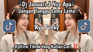 Dj Januari J Nya Apa  Jangan Tunggu Lama Lama  Dj Viral Tiktok Yg Kalian Cari