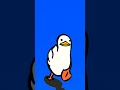 duck is the best like subscribers 10k arhan king 888 but the two women #thatswhatshesaid nottalking