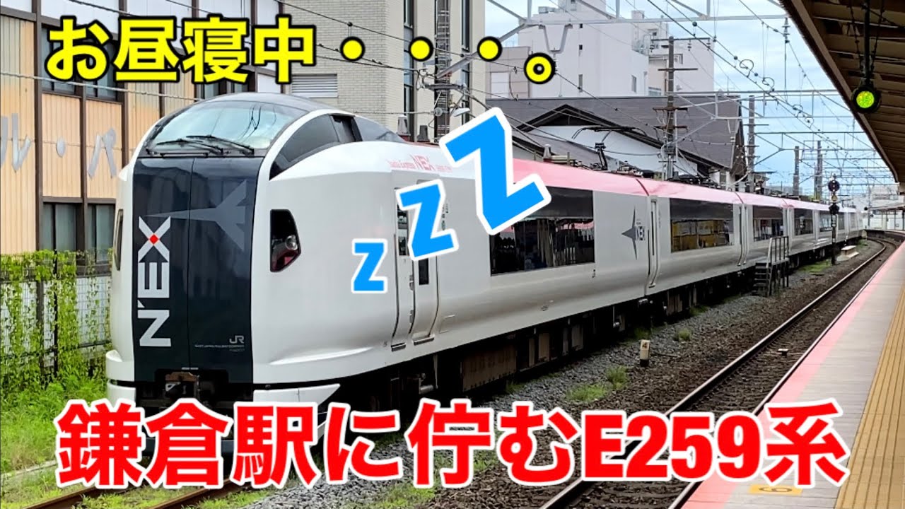 鎌倉駅に佇むE259系 特急