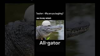 Ali gator meme #Happy_Tune_379 #memes