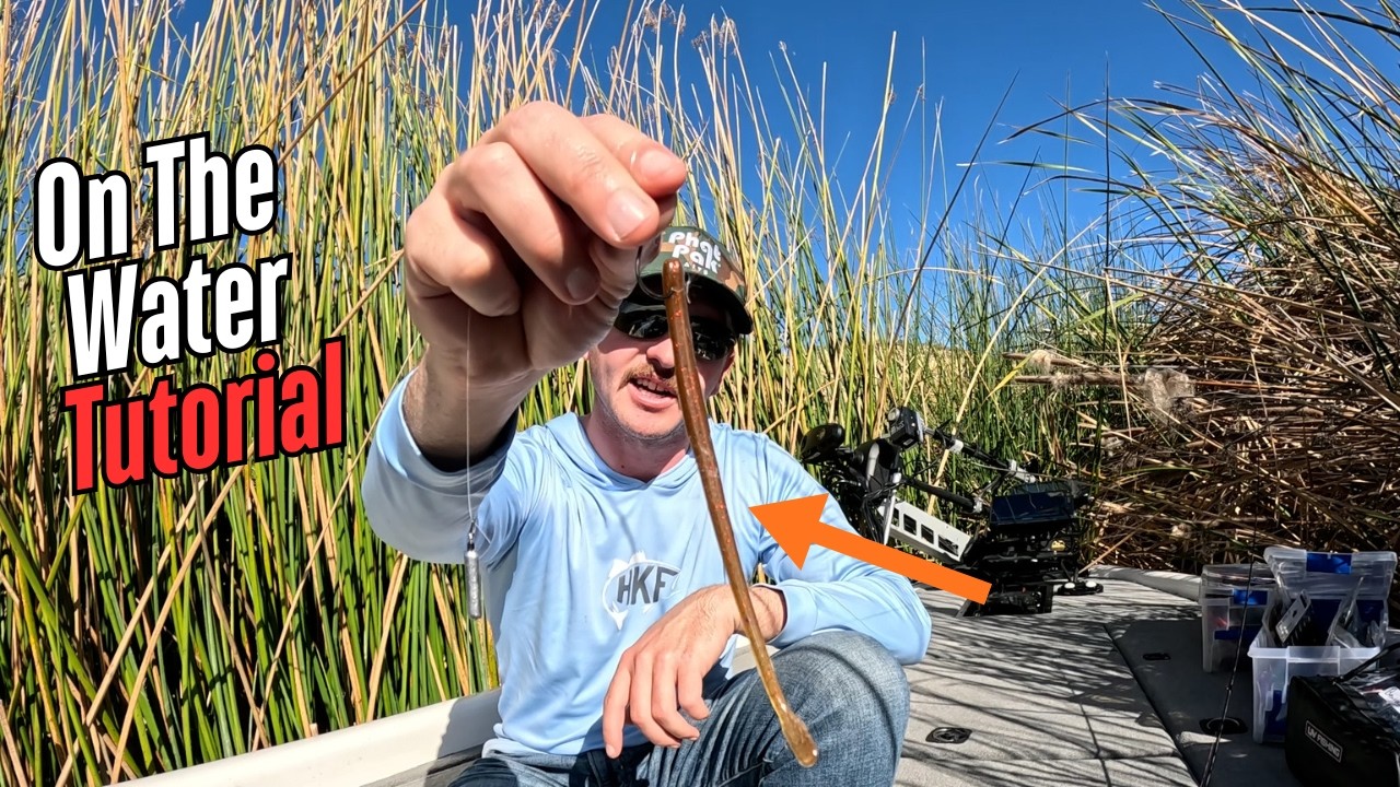 С этими советами по ловле на дроп-шот вы гарантированно поймаете больше рыбы!