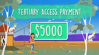 Tertiary Access Payment