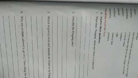 English 5th Pangong lake